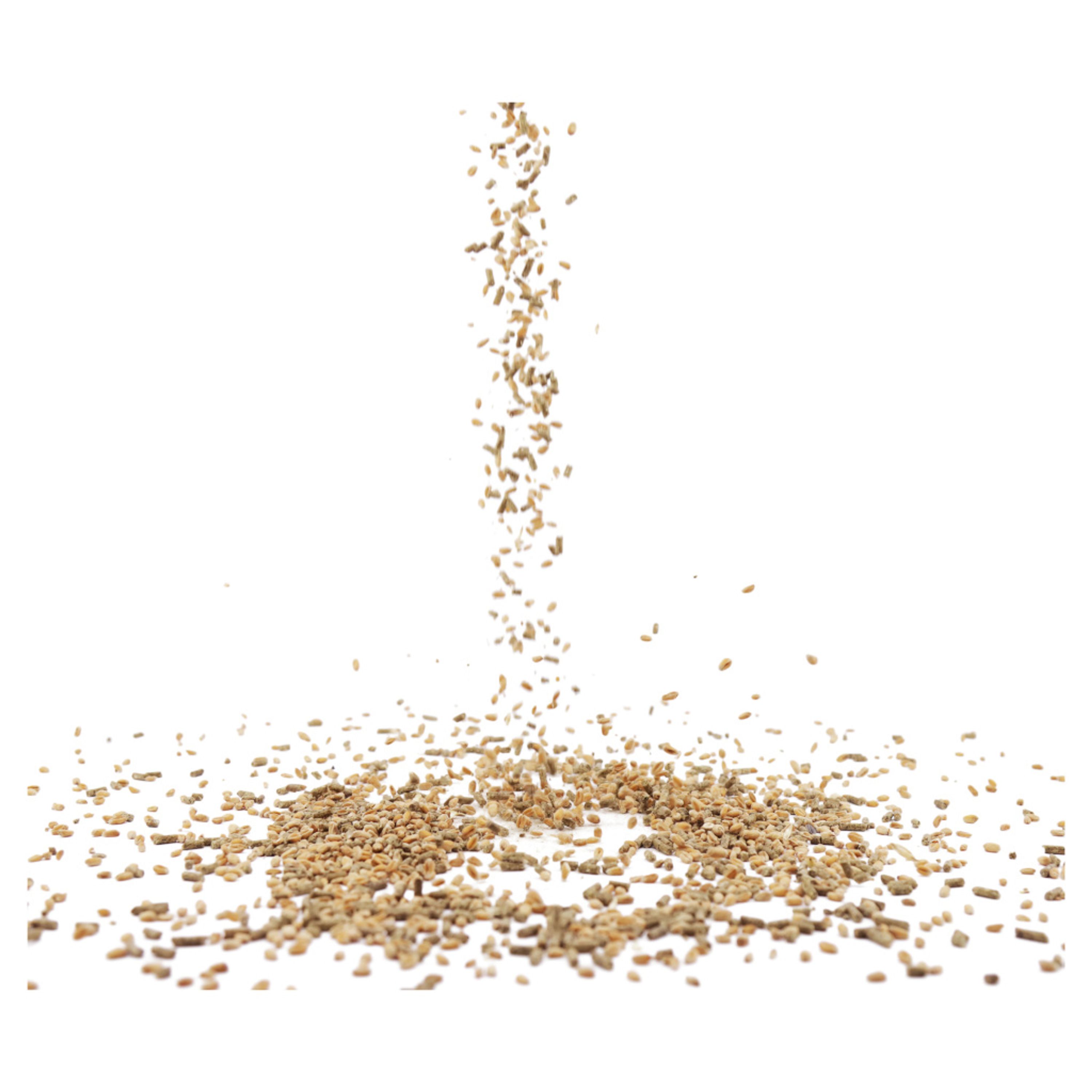 Enten- und Schwanenfutter 2,5 kg | CJ Wildlife